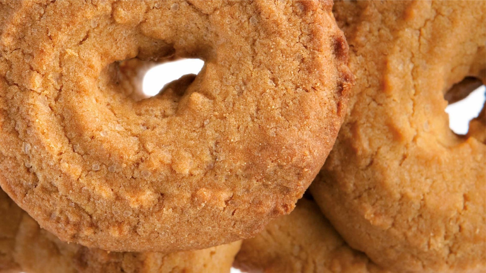 Lorem ipsum<br>dolor sit amet